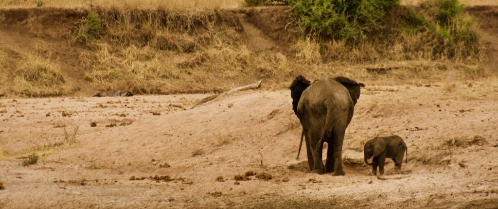 tarangire-national-park