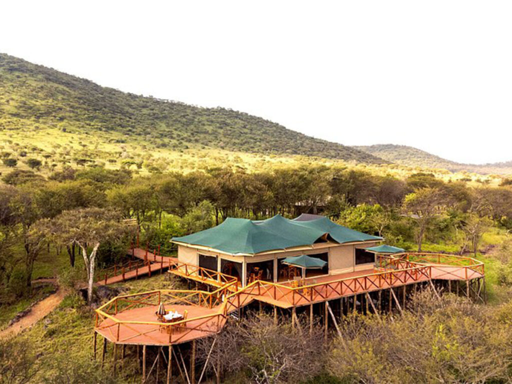 big 5 serengeti safari