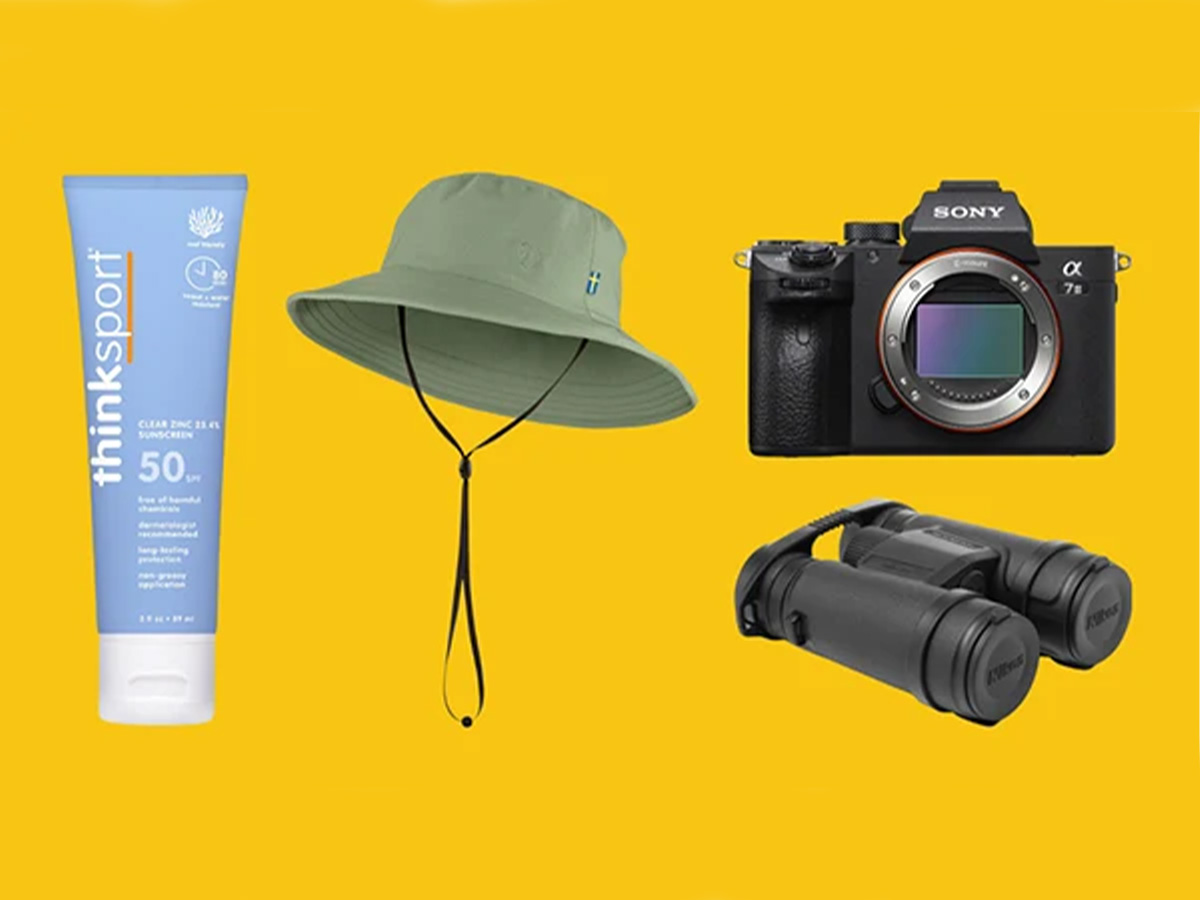 What to take on Safari