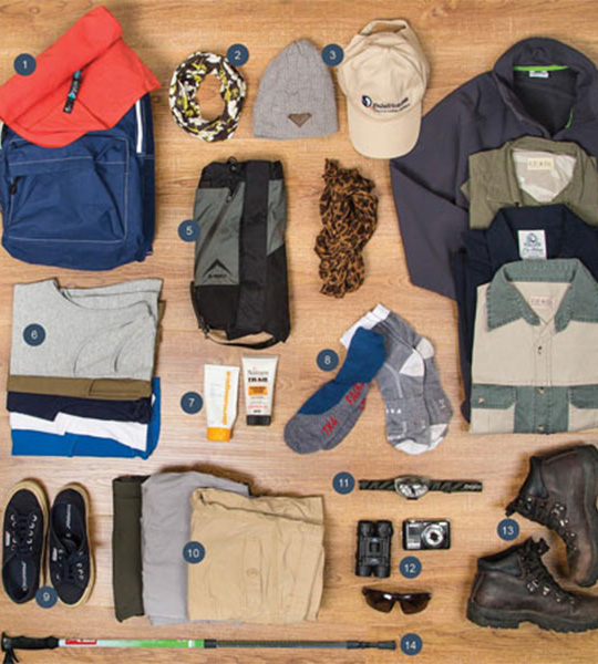 What to take on Safari