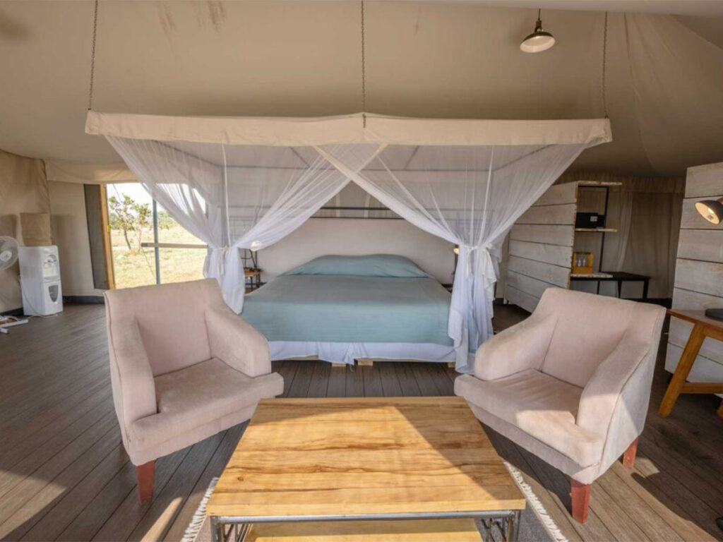 Safari accommodation
