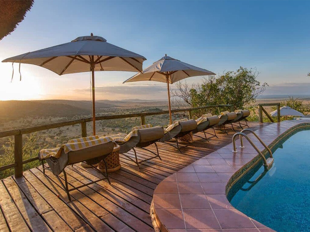 Safari accommodation