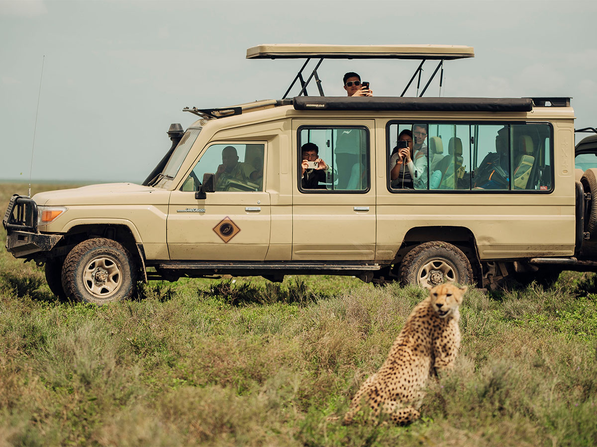 Serengeti safari from Zanzibar