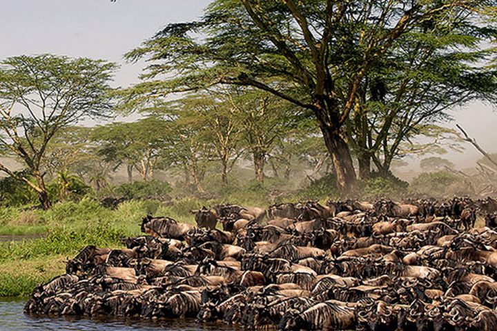 Serengeti-National-Park-1.jpg