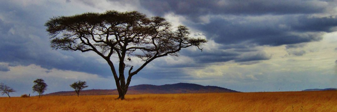 Serengeti-National-Park.jpg