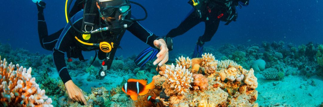 Zanzibar Diving